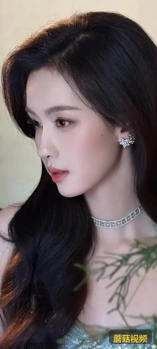 专题15